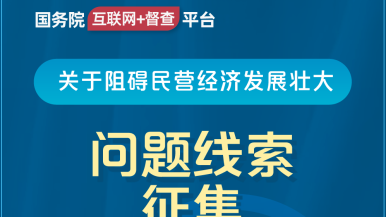 国产A级干叉叉视频播放国务院“互联网+督查”平台公开征集阻碍民营经济发展壮大问题线索